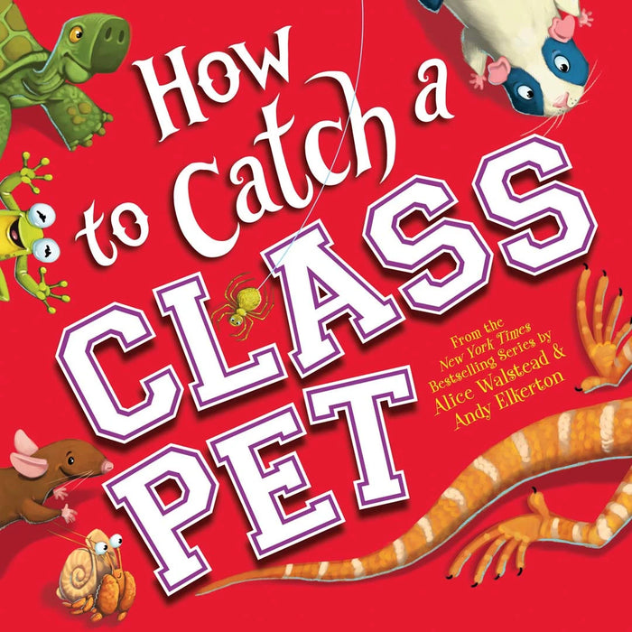 Bean Kids - How to Catch a Class Pet: A Funny School Adventure for Kids